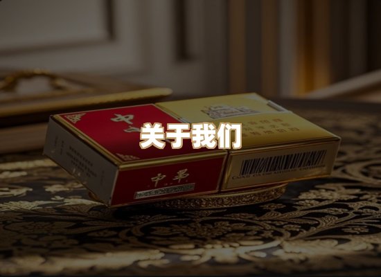 关于云歌烟网